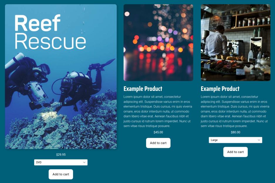 Website screenshot - webstore with products for sale.